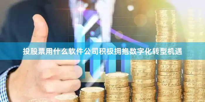 投股票用什么软件公司积极拥抱数字化转型机遇