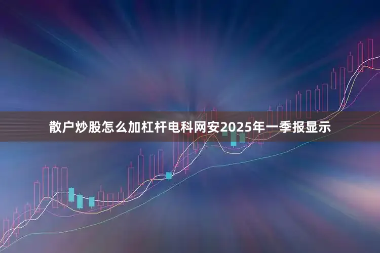 散户炒股怎么加杠杆电科网安2025年一季报显示
