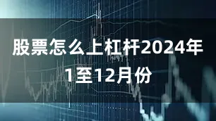 股票怎么上杠杆2024年1至12月份