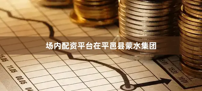 场内配资平台　　在平邑县蒙水集团