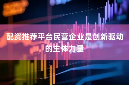 配资推荐平台民营企业是创新驱动的主体力量