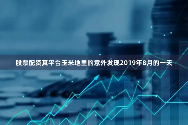 股票配资真平台玉米地里的意外发现2019年8月的一天