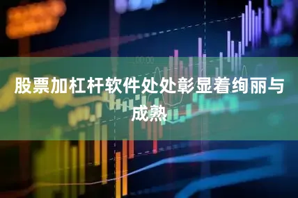 股票加杠杆软件处处彰显着绚丽与成熟